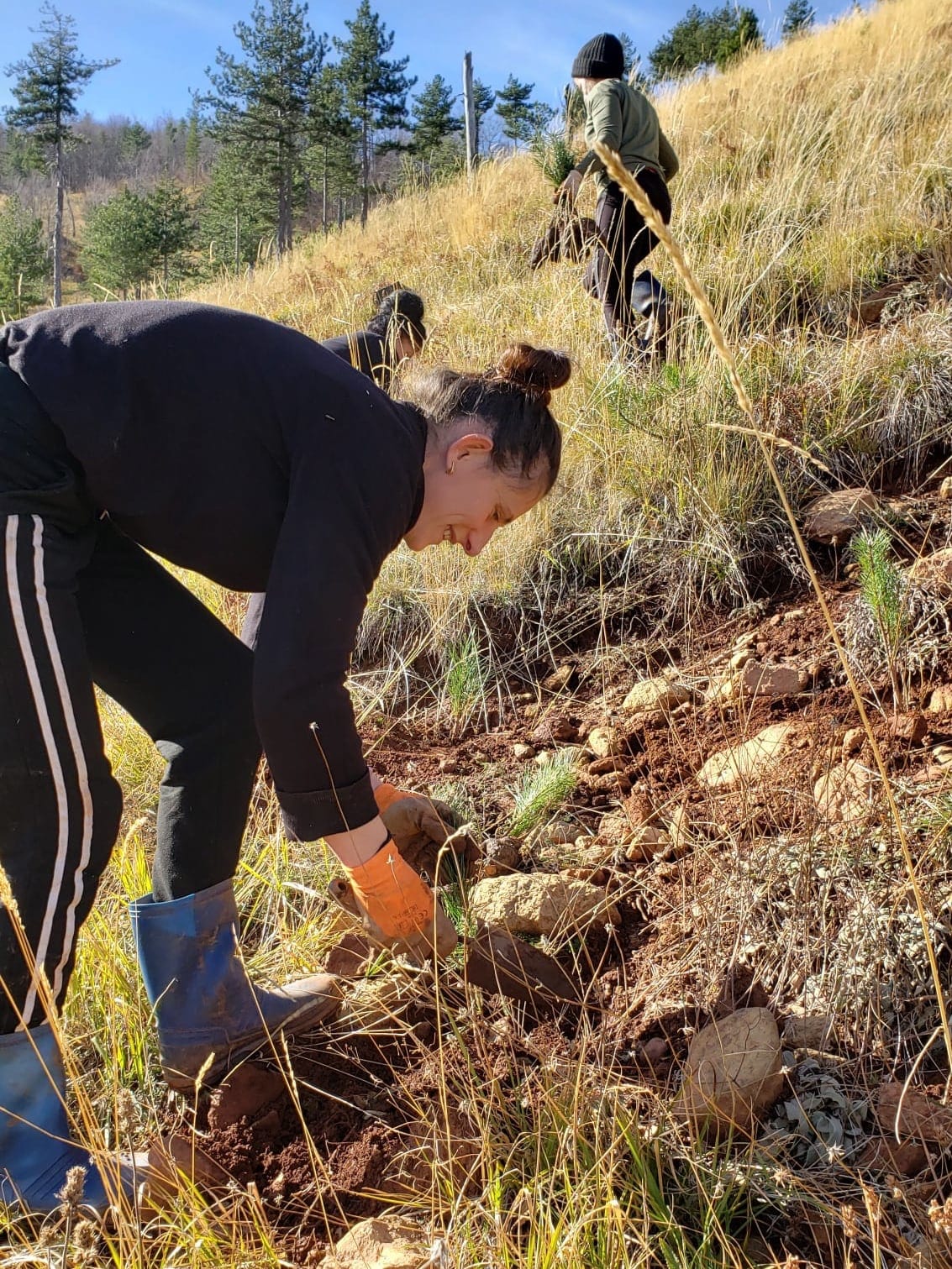 2023: Women from local team at the planting area