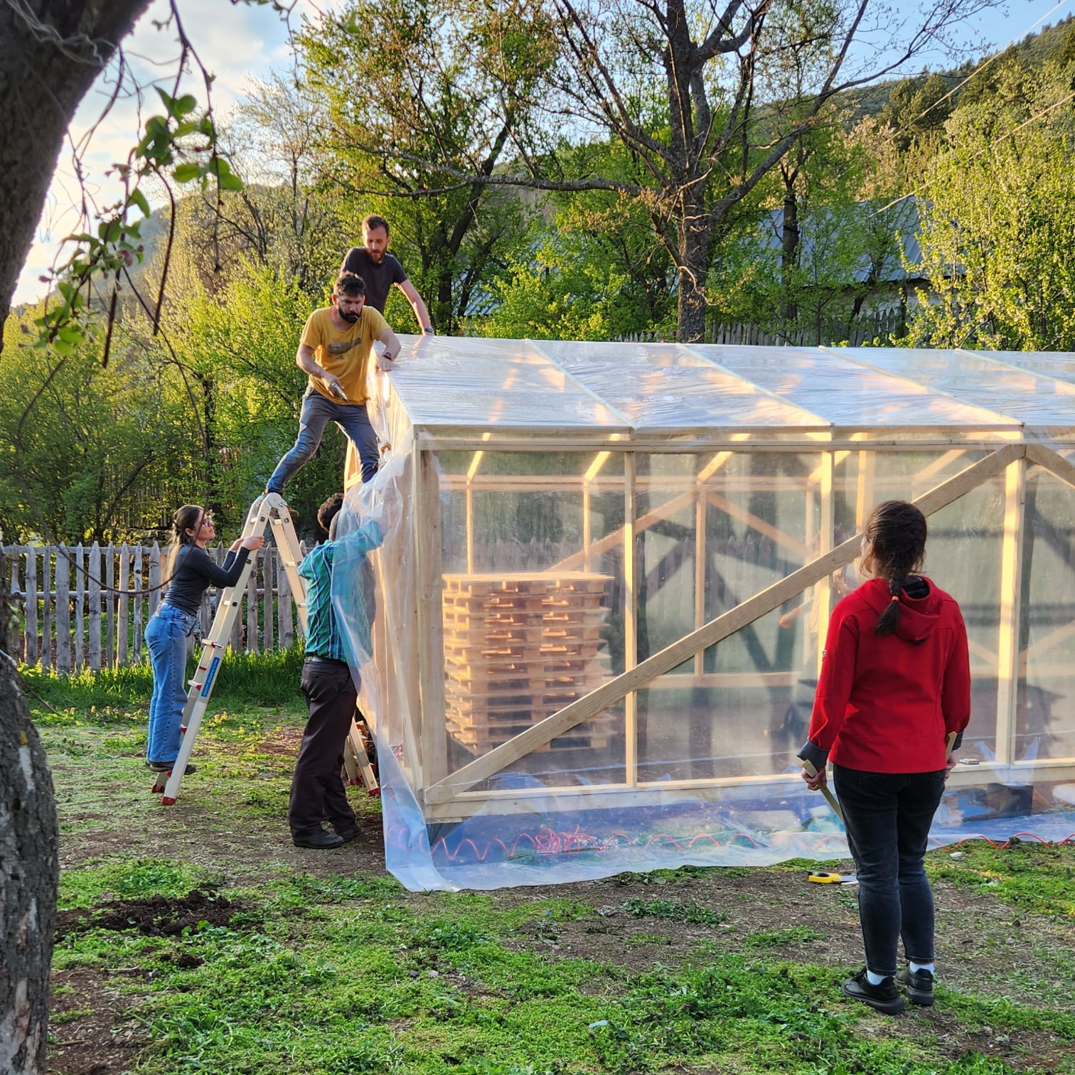 2023: Covering greenhouse in UV resistant plastic